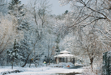 house in winter forest