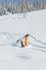 Naklejka na ściany i meble A snowboarder falling into deep snow at the ski resort in a sunny morning