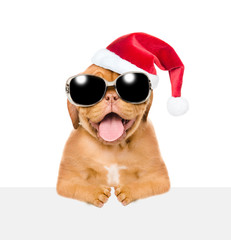 Puppy in red christmas hat  and sunglasses above white banner. isolated on white background