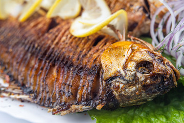 Grilled carp fish on the white plate over white
