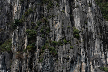 Halong bay northeast Vietnam is towering limestone islands topped by rainforests