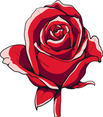 Elegant red rose flower with black contour,shadows and lights. Hand drawn vector graphic.