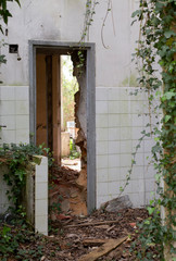 Fototapeta na wymiar Close up of a wall in an abandoned house
