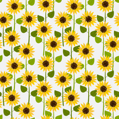 Sunflowers on white pale background seamless pattern.