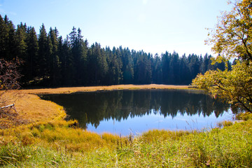 Schwarze Lacke