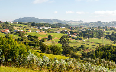 Forest in the meadow in Asturias in the north of Spain in a sunny day