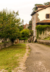 Rural town in the meadows near the mountains in Asturias in the north of Spain in a sunny day