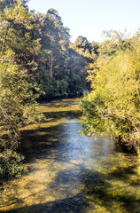River in the forest of the north of Spain in a sunny day.