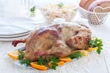Festive stuffed oranges duck on a dish, horizontal
