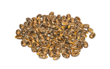 close up of castor oil beans,ricinus seeds