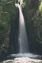 A waterfall in the forest