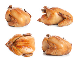 Set of delicious roasted turkey on white background