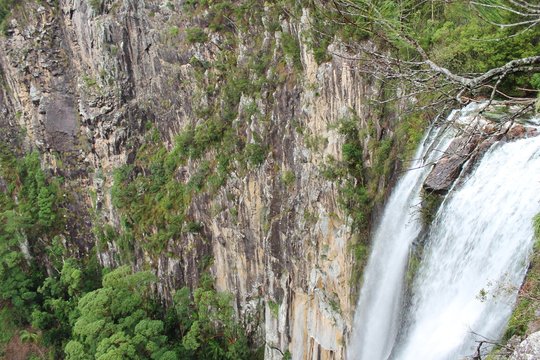 Minyon Falls, NSW Australia - 12/2/2016: Minyon falls, forests, pristine creeks and a spectacular waterfall in Nightcap National Park. in northern rivers region of NSW New South Wales Australia