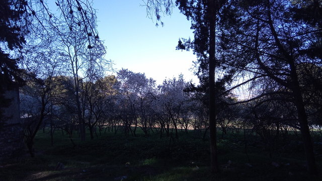 Hermosa naturaleza