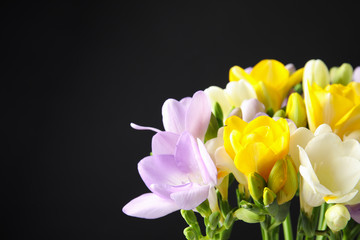 Bouquet of freesia flowers on black background. Space for text