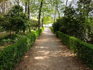 Obraz premium Footpath in a lush park in spring