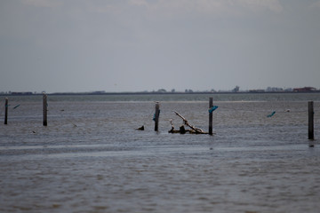 Naklejka premium PAISAJE MARINO