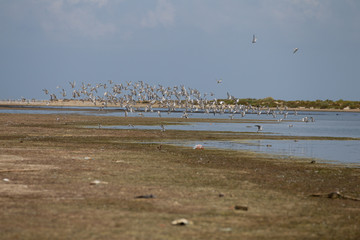 PAISAJE MARINO