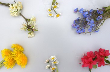 composition de fleurs printanières, concept saisonier 