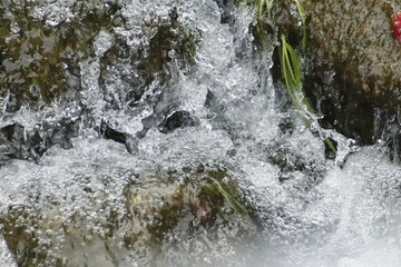 acqua