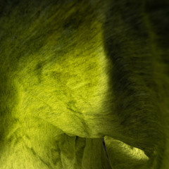 Yellow fabric background