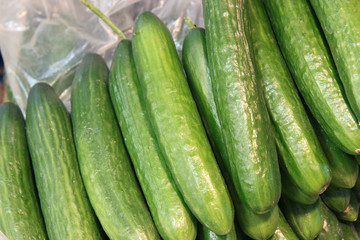 fresh green cucumber collection outdoor on market macro