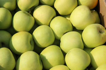 green apples background