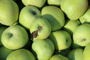 green apples on black background