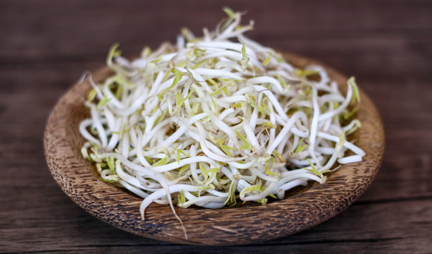 Mung bean sprouts or tauge on wood background.