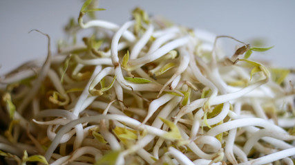Mung bean sprouts or tauge on white background.