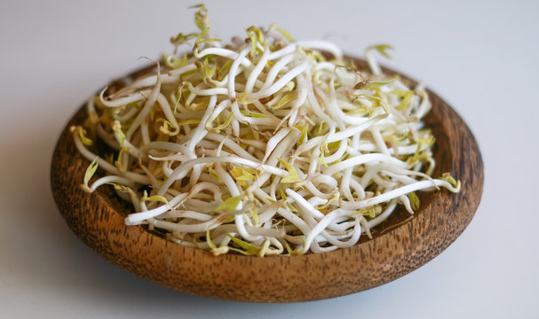 Mung bean sprouts or tauge on white background.
