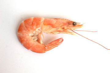 boiled shrimp isolated on white background