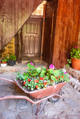 Old wheelbarrow planter