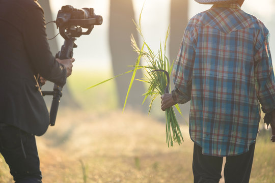 The filmmaker is recording and broadcasting life of farmer on stabilizer camcorders. Professional Video Recording
