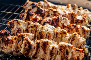 Traditional shashlik cooking on a grill isolated