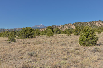 snowy peak of Mount Ouray view from Droney Gulch State Wildlife Area (Chaffee county, Colorado, USA)
