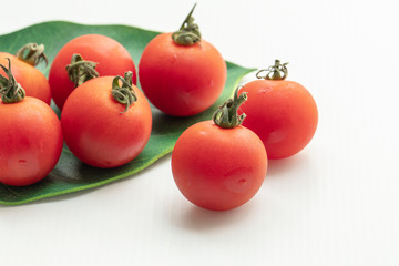 Close up tomatoes in green leaf on isolate white background.Selective focus red tomatoes.	