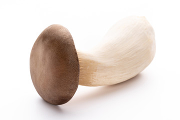 King oyster mushroom on white background.