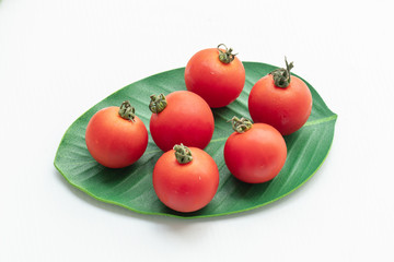 Close up tomatoes in green leaf on isolate white background.Selective focus red tomatoes.	