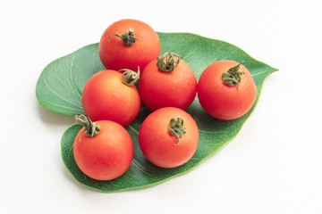 Close up tomatoes in green leaf on isolate white background.Selective focus red tomatoes.	