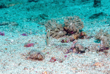 Wo sind denn die anderen