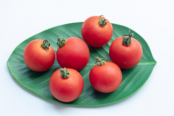 Close up tomatoes in green leaf on isolate white background.Selective focus red tomatoes.	