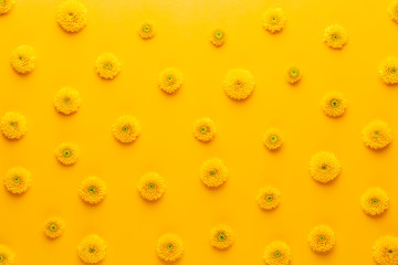 Yellow flower pattern on a yellow background.  Spring greeting card.