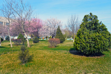 Весна в городе
