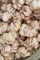 Garlic head for cooking at street food