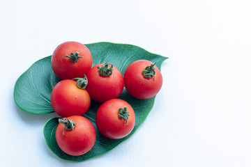 Close up tomatoes in green leaf on isolate white background.Selective focus red tomatoes.