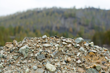 small stream in forest