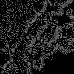 Topographic map. Black lines on white background. Contour abstract background. Vector illustration.