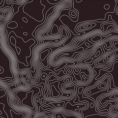 Topographic map. Black lines on white background. Contour abstract background. Vector illustration.