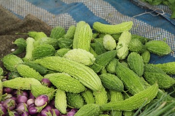 Bitter melon gourd for cooking in market